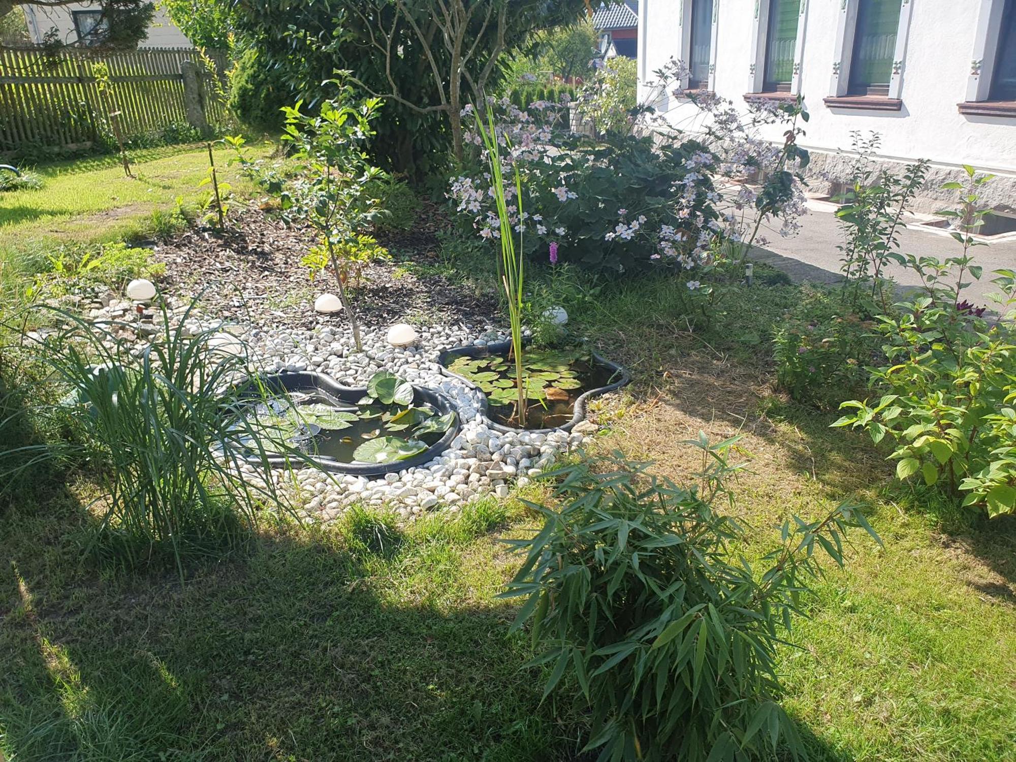 Familienfreundliche Ferienwohnung Erzgebirge 施内贝格 外观 照片